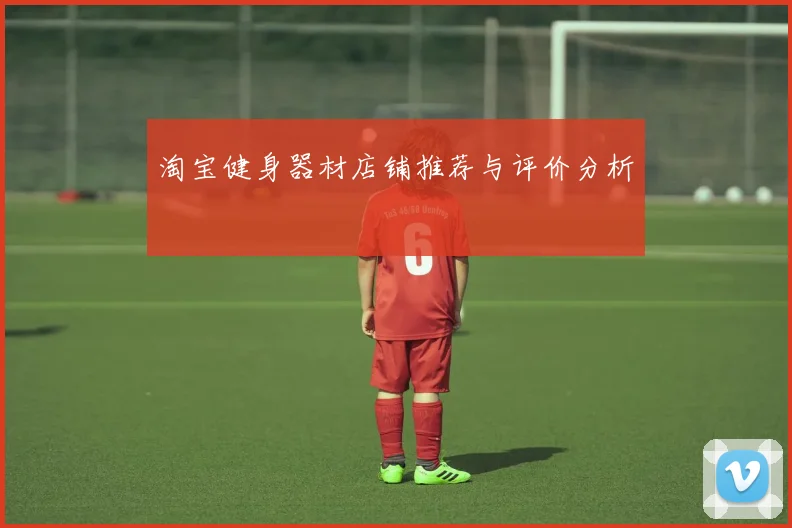 淘宝健身器材店铺推荐与评价分析