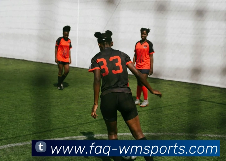 完美体育官网发展历程